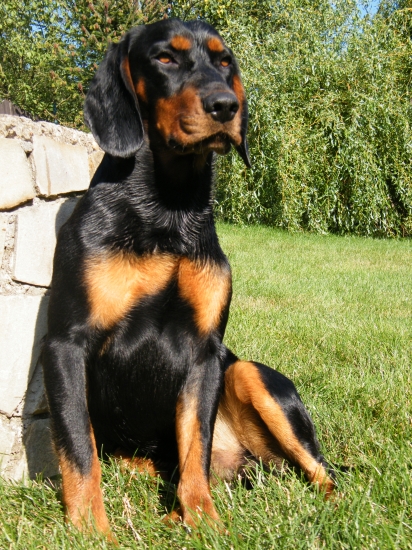 Můj kopík na  sluníčku