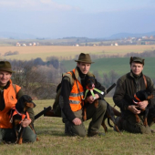 Naháňka ve Vlachovicích