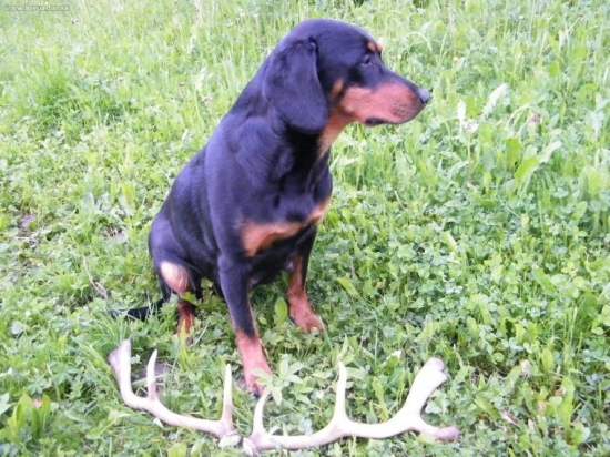 Našla je za 10 minut