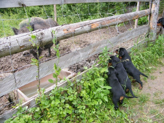 Už jsme začali trénovat