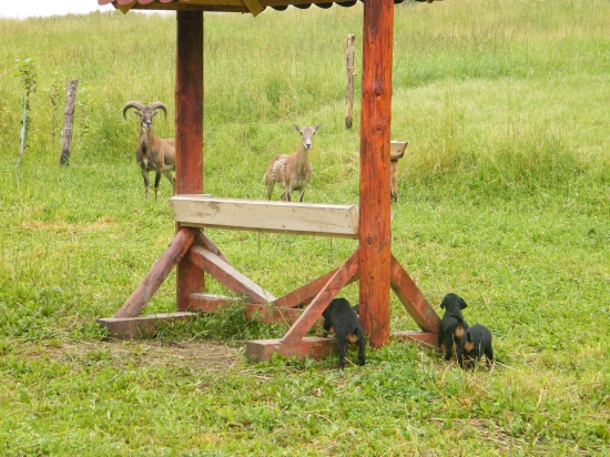 Ještě pár týdnů a už vás pěkně proženeme