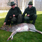 Můj první a dohledaný daněk