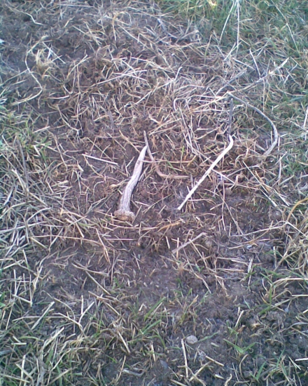 Letos poslední stál za to!