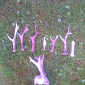 Včerejší