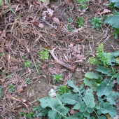 Hunter jistě pozná!