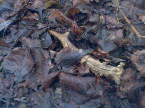 starší z 1.1.2010