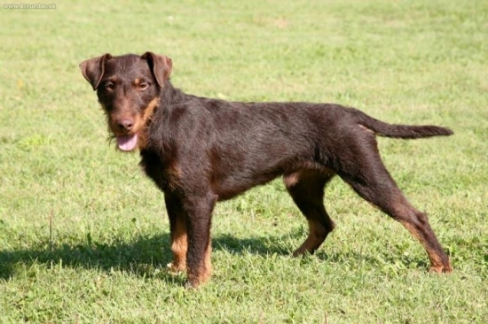 Barbar von Leibitz Obergasse