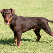 Barbar von Leibitz Obergasse