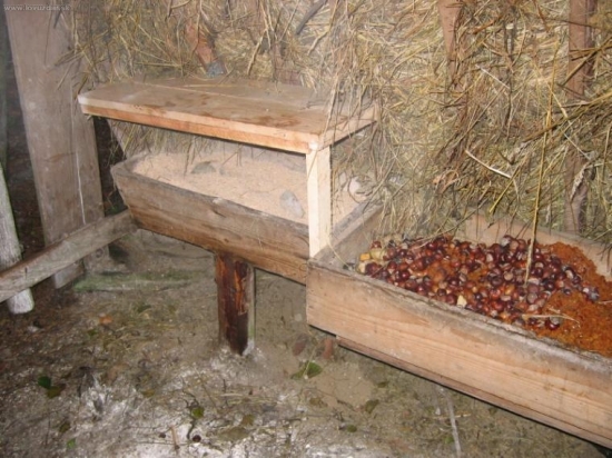 lapač parůžků