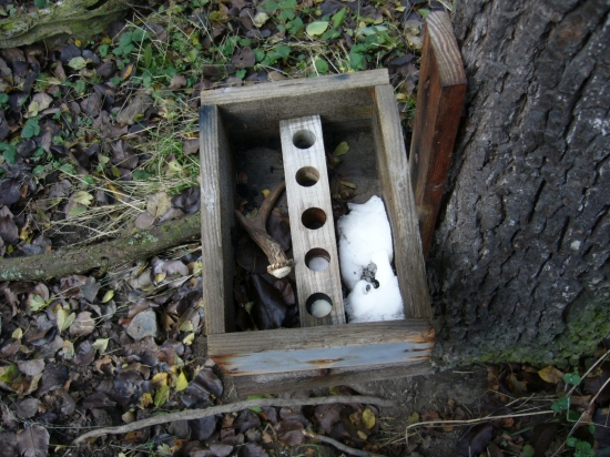 a ještě,nechal mi ho v solníku