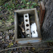 a ještě,nechal mi ho v solníku