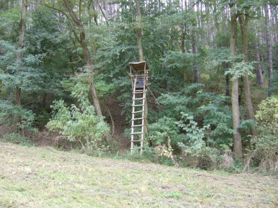 nejkrásnější pohled