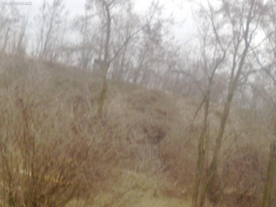 posedík/električka