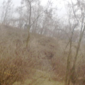 posedík/električka