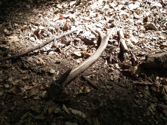 Vlachovský šestáášik :)