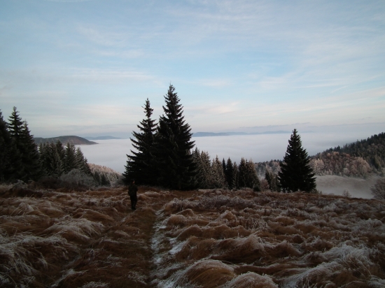 Buchwaldským chodníkom