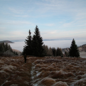 Buchwaldským chodníkom