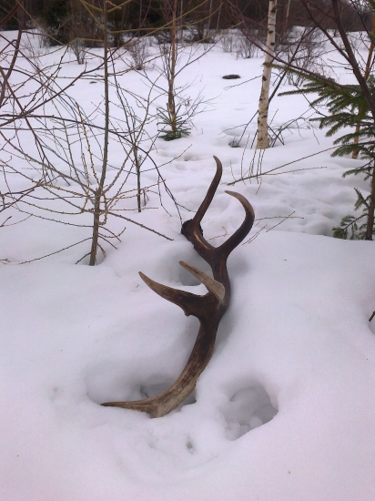 Ked sa stiastie v jeden den usmeje :)