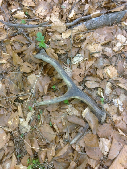 chodník k solisku  :)