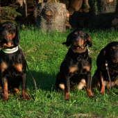 Svorka :)