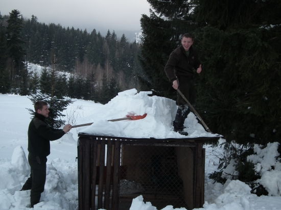 V zime ked ani psy do koterca nevošli :)