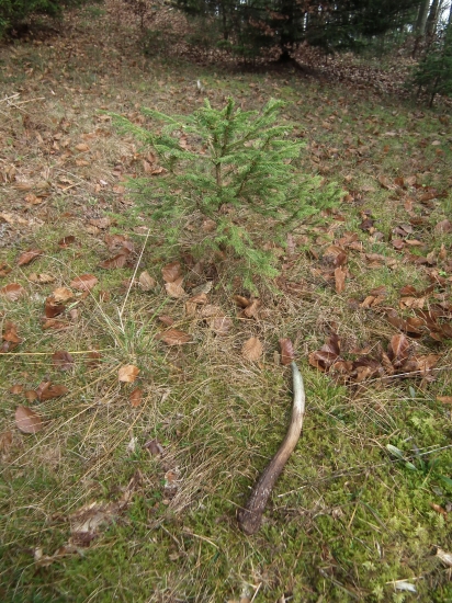 Take sa najtazsie hladaju