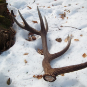 3,3kg z marca