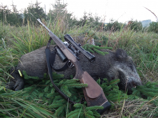 Ranné prekvapenie :)