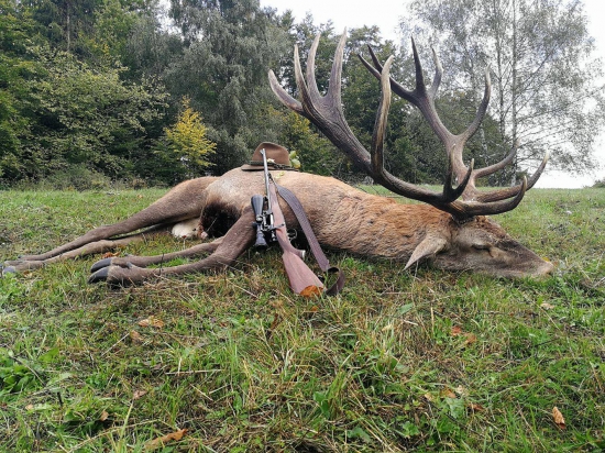 Zlatý král doreval