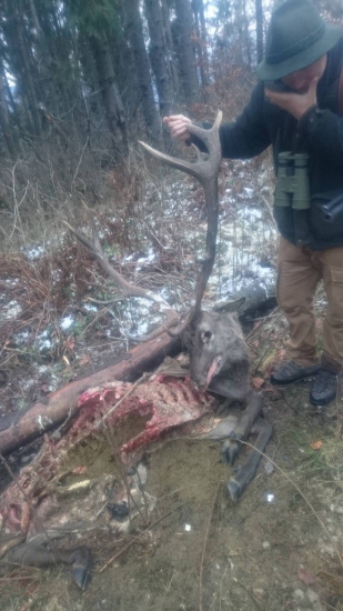 Jednostranný klepetár