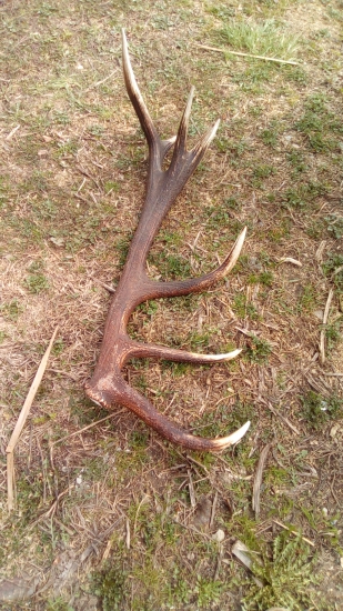 Kamarátov  16torák :)