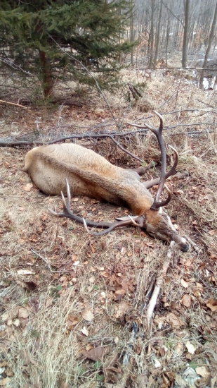 Radšej z neho páru...