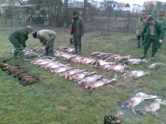 Osetrovanie zveri po spolocnej