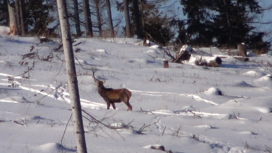 a druhy kde máš..:):)
