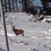 a druhy kde máš..:):)