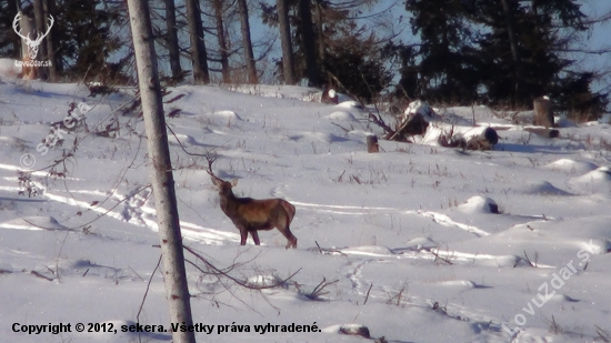 a druhy kde máš..:):)