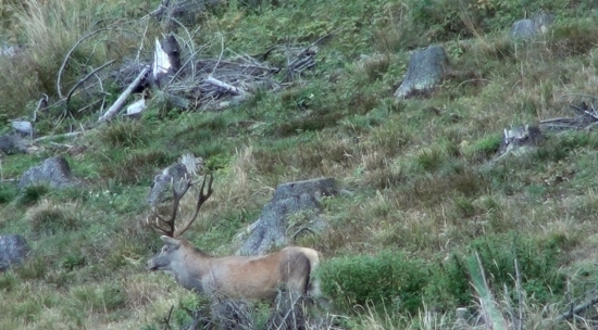 ked sa krása ukáže:):):):)