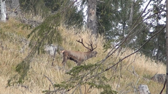ked sa horou ozyvalo