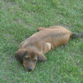 trosku si odýchnem.....