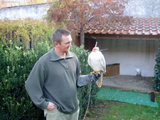 ešte zopar lovečakov