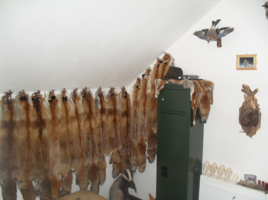 trocha z mojej miestnosti na odych