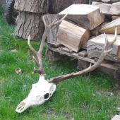 Po vyčistení