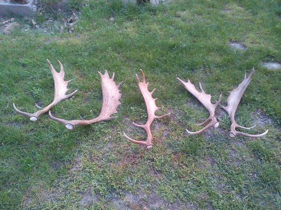 poobedná prechádzka