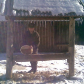 Prikrmovanie