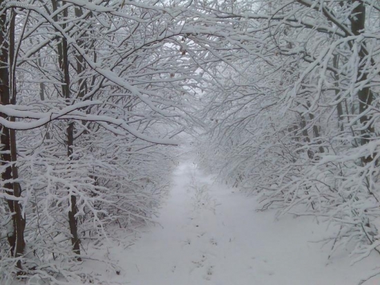 Winter
