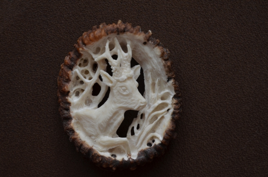 kráčajúci srnec - kravata