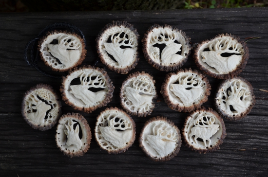 kravaty s motívom jeleňa, srnca