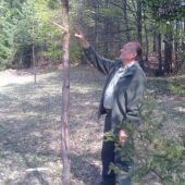 macko si označil teritorium