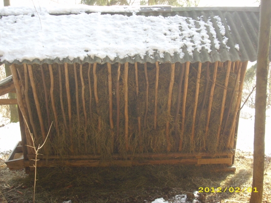 Starostlivost o zver