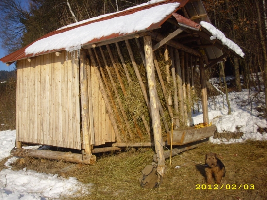 Starostlivost o zver